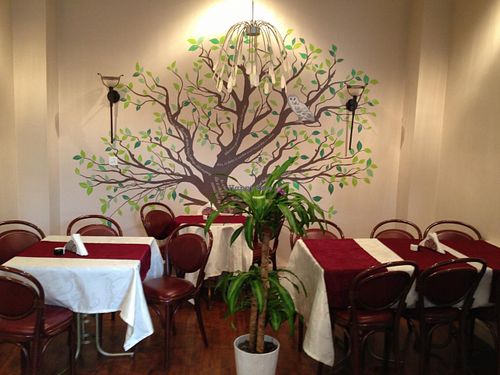 BioFresh interior at BIOfresh in Bucharest