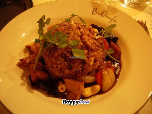 Bio Cafe at Bio Cafe in Tokyo