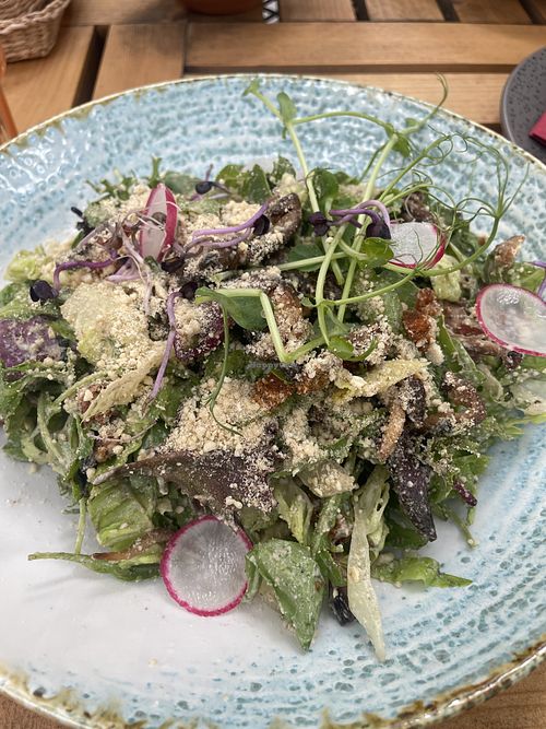 Green sales with mixed mushrooms - the best!  at Soul Kitchen in Sofia