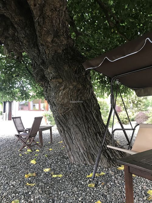 Agriturismo Surì at Agriturismo Suri in Cassine