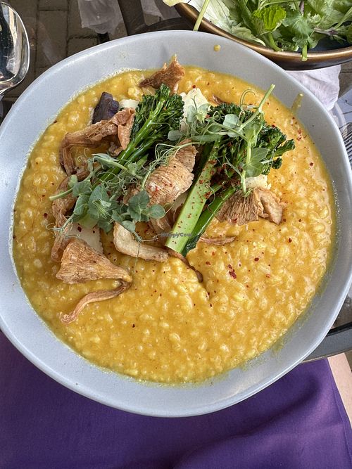 Coconut Curry Risotto (without the butter)  at Nue  in Falls Church