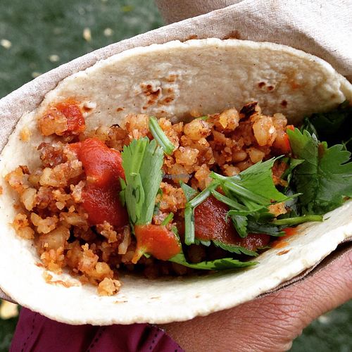 Walnut 'meat' taco  at The Cutting Board Bakery and Cafe in Mesa