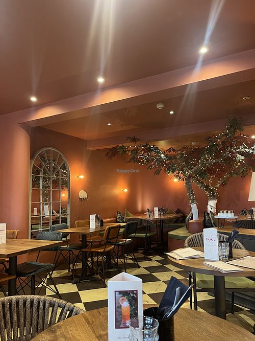   at Dosa Darlings in Oxford