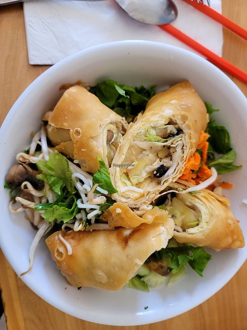 Noodle Salad with 2 Vegan Fried Roll That Were Not Vegan - the rolls were made with eggs at Thuy's Noodle Shop in Bisbee
