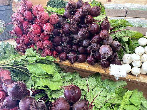   at Beech Hill Farm in Mount Desert Island