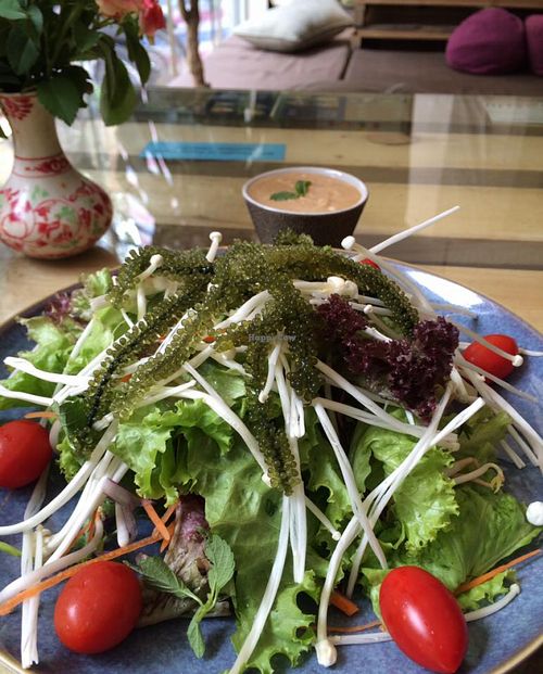 Seagrape and vegetable Salat, local sea grapes farmed and processed in Vietnam. Nutritious Fresh Salat served with our home made miso sauce. at Zenith in Hanoi