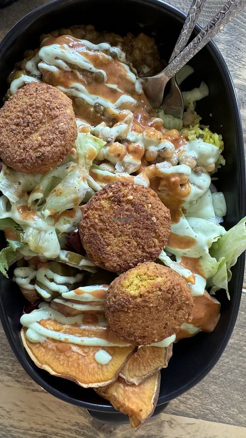   at Gustav Grün in Kassel