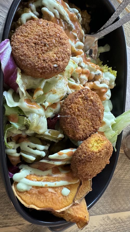   at Gustav Grün in Kassel