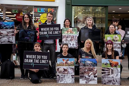 Oxford Vegan Action and Animal Justice Project at Oxford Vegans in Oxford