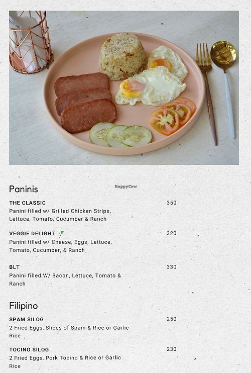 No vegan options on the menu; all paninis are based on egg/dairy at El Flamenco Cafe  in San Juan Siquijor