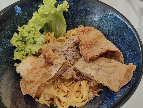 Mee pok (Dry) at Veggie House 一芳 - Orchard in Central Singapore