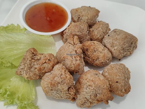 Vegetarian KFC (not nice, too much mock) at Veggie House 一芳 - Orchard in Central Singapore
