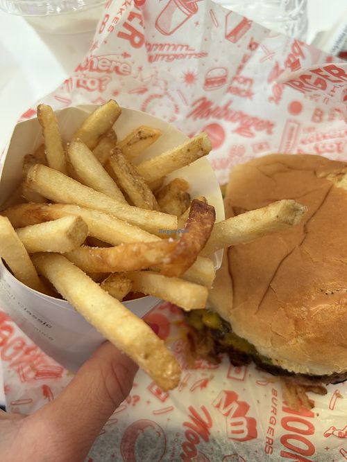 Fries and cheezeburger   at Moonburger in Poughkeepsie
