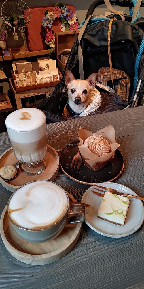  at De Groene Knoop in Mechelen