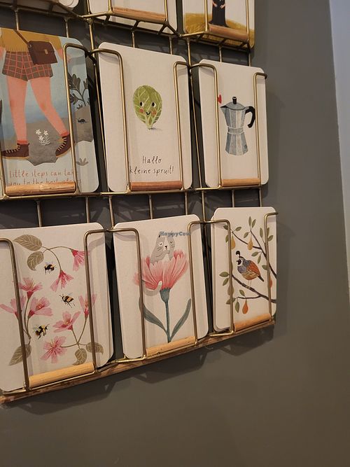  at De Groene Knoop in Mechelen