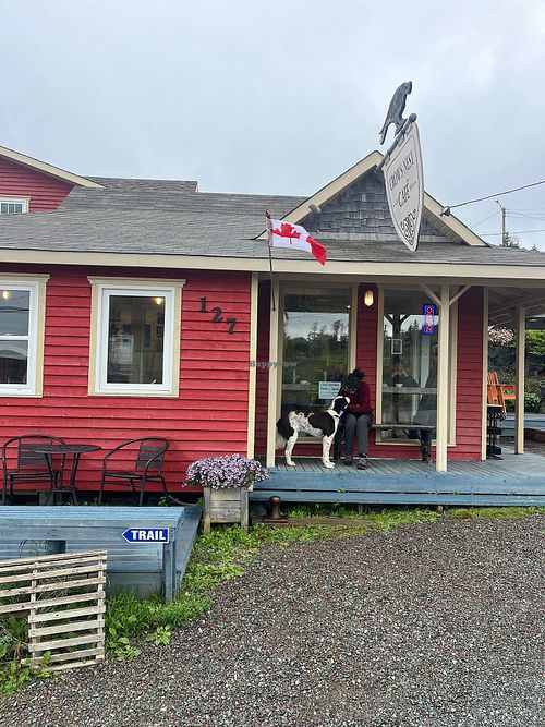 Sorry, only doggo photo, I forgot about the food  at Crow's Nest Café in Crow Head