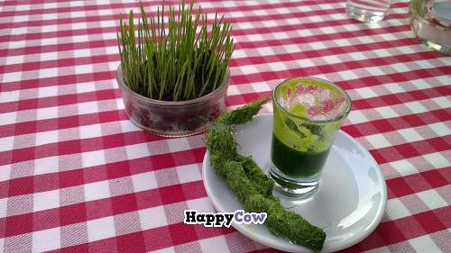 wheatgrass juice / weizengrassaft at Cafe Noura in Berlin
