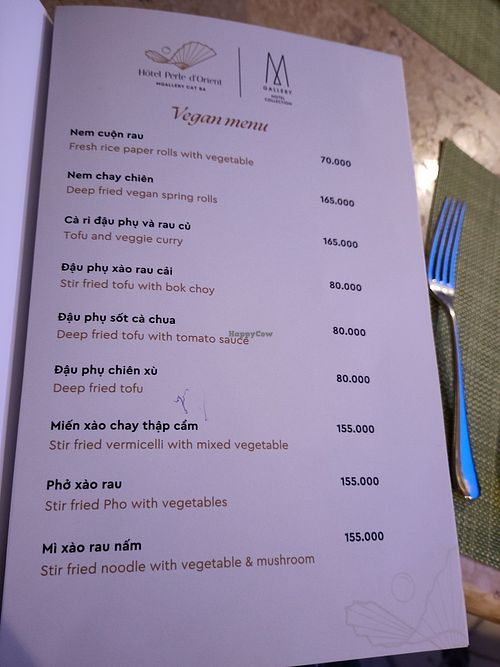Vegan menu at Indochine Lounge - Maybe closed in Cat Ba