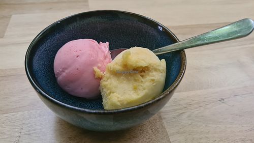 Nu ook met vegan ijs! at De Zon in Overasselt