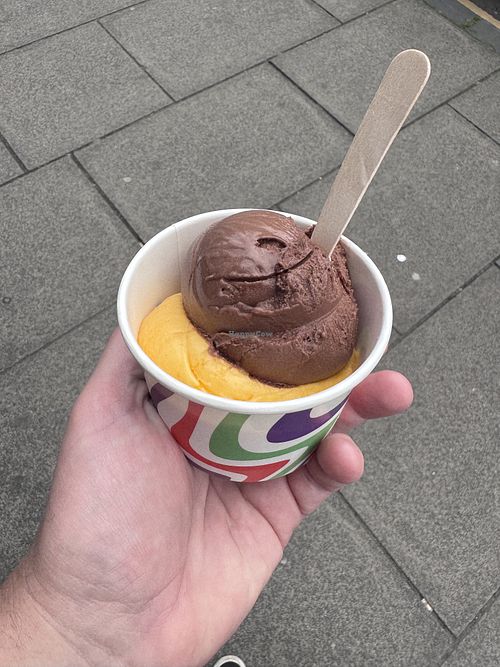 Mango sorbet and dark chocolate ice cream   at Basement Gelato Co in Edinburgh