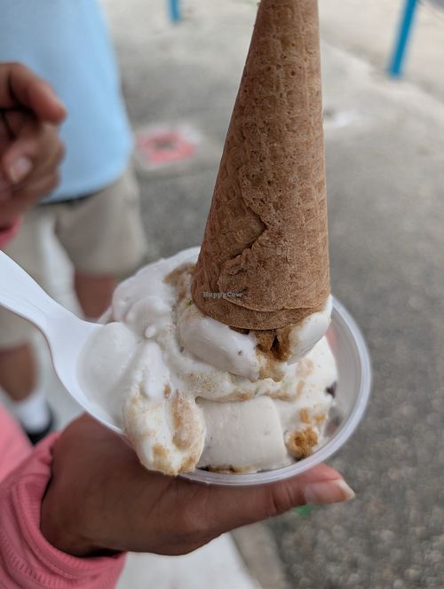 No No Nuts Ice Cream