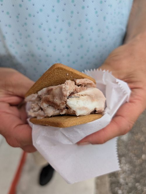 No No Nuts Ice Cream