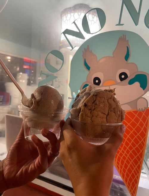 No No Nuts Ice Cream