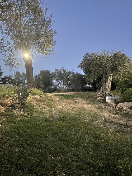 Home Restaurant Ionontimangio