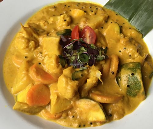 Vegetable curry entree- came with white rice at Mela in Asheville