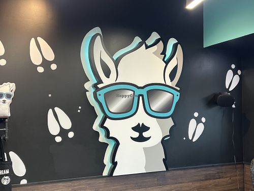   at The Dolly Llama  in Myrtle Beach