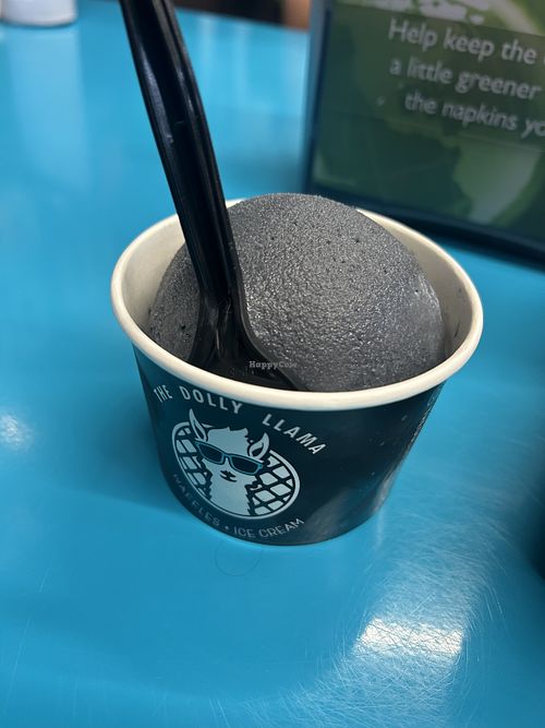 Charcoal ice cream   at The Dolly Llama  in Myrtle Beach
