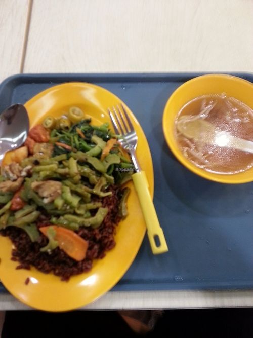 PPC basement: rice,  mock-meat, veggies at Kwan Inn Vegetarian 观音斋 - Chinatown in Central Singapore