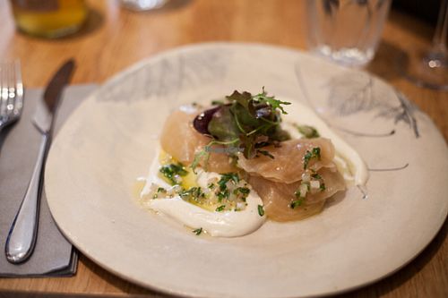 Vegan starter with aged cashew cheese and beetroot at Oak in Bath