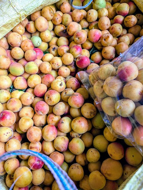 Apricots 100/kg at Centenary Farmers Market in Thimphu