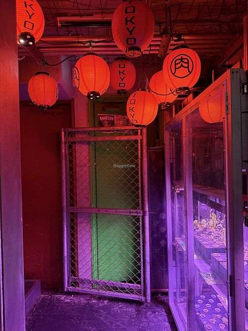   at NEOShinjuku Atsushi in Tokyo