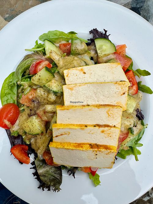 Vegan salad with lentils and tofu. at Mysha Cafe in Kristianstad