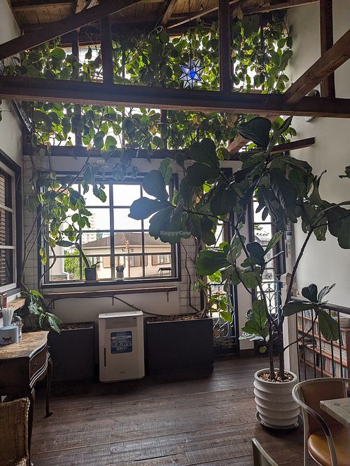 second floor at Mame no Yu - 九十九別邸 豆の湯 in Shirahama