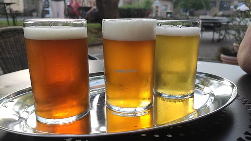 Beer tasting serving at KATI Hausbrauerei in Eberswalde