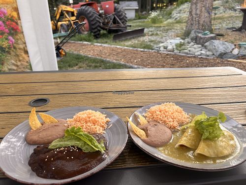 Vegan enchiladas (no cheese or sour cream with soy protein) - one with mole sauce, one with green sauce   at Su Casa Mexican Cafe in Bridesville