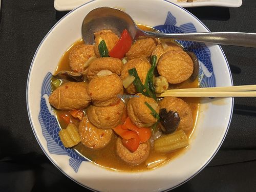 red braised japanese tofu   at Ichiban Sichuan Restaurant in Madison
