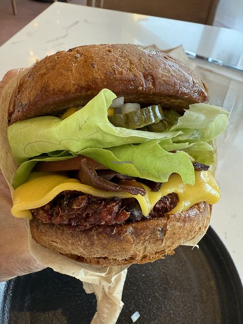 Bacon 🥓 cheeseburger 🍔   at Roam Artisan Burgers  in Corte Madera