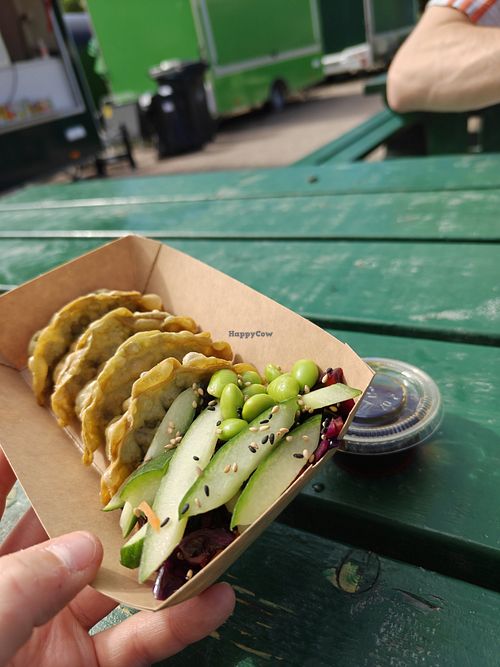 Dumplings from the Japanese stall, 65kr at Uppsala Matmarknad in Uppsala