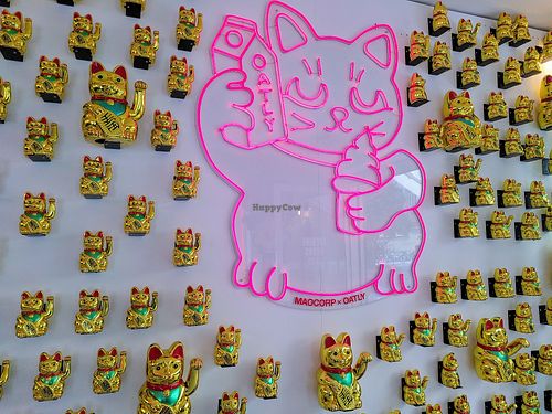 Third week decoration at Oatly - Pop-Up in Paris