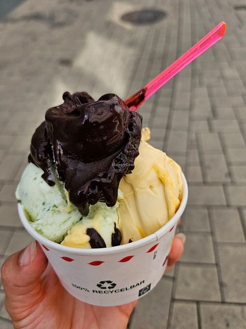 Extra Black, Maracuja und Zitrone/Basilikum at Eiscafé Rialto - Rino Zava in Bingen Am Rhein