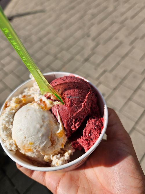Haferkeks-Aprikose & Heidelbeere at Eiscafé Rialto - Rino Zava in Bingen Am Rhein