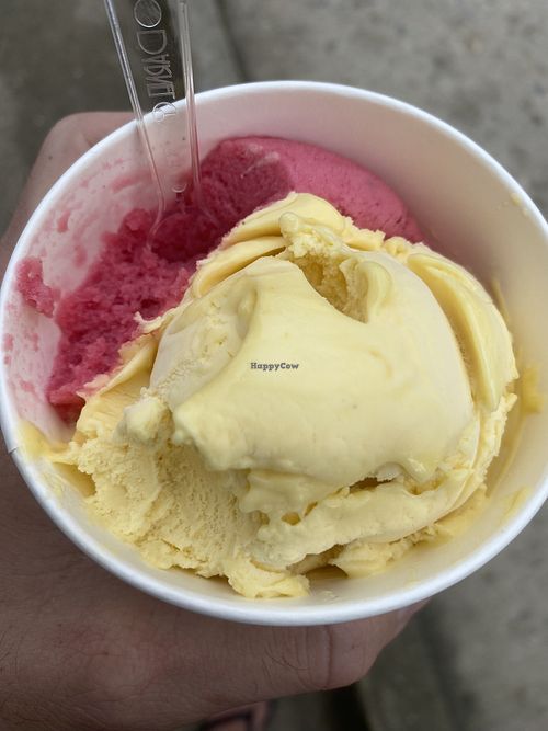 Mango and raspberry combo  at Gelato Nevao in Minca