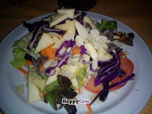 Mixed salad with apple, avocado and dried fruits at El Ventorillero in Jimena De La Frontera