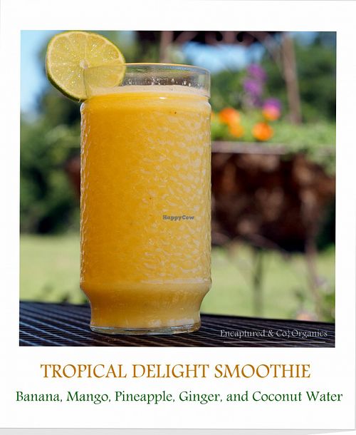 Tropical Delight Smoothie 

Banana, Mango, Pineapple, Ginger, and Coconut Water.  at Sprouts Cafe in Gastonia