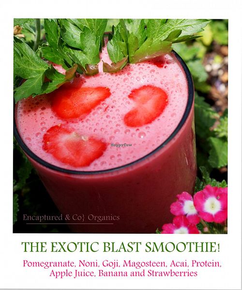 Just had the Exotic Blast as an afternoon pick-me-up!  at Sprouts Cafe in Gastonia