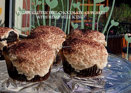 Delicious, Vegan, Gluten Free Mocha Cupcakes with Hemp-Milk Icing! at Sprouts Cafe in Gastonia